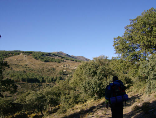 La Polarda