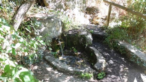San-Jeronimo 022