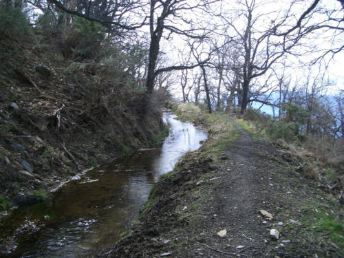 acequia