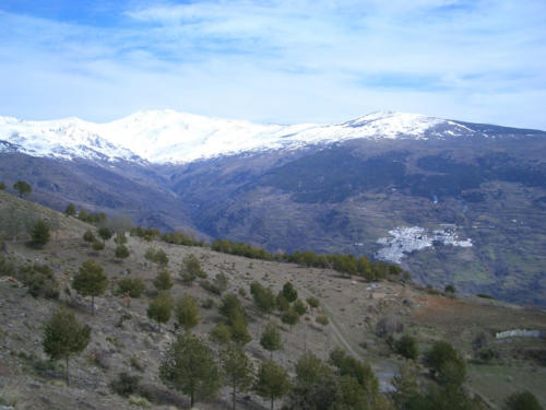 capileira